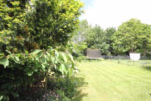 Photo 11- click for photo gallery